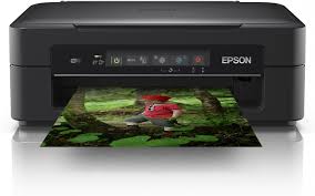 Epson Expression Home XP 255
